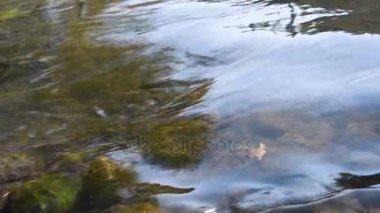 Su akışı. Sonbahar. Parlama