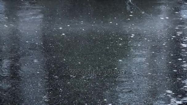 アスファルトに降る雨 — ストック動画