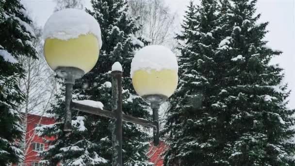 雪は街路灯に対してで落ちる — ストック動画