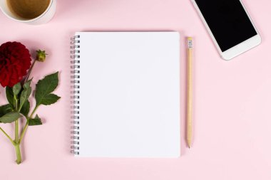 Modern ofis malzemeleri renkler ve kahve.