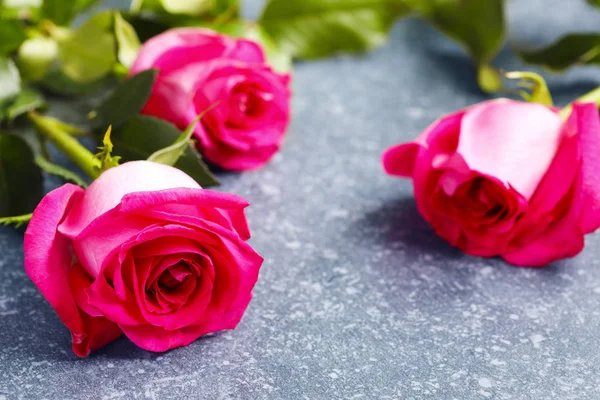 Lindas rosas rosa e gerberas — Fotografia de Stock