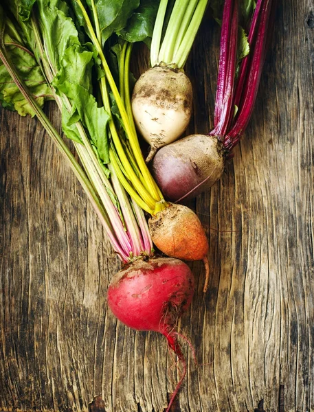 Remolacha orgánica fresca de diferentes variedades — Foto de Stock