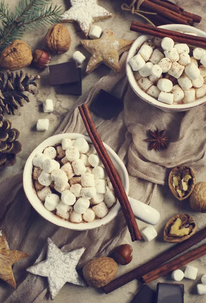 Ζεστή σοκολάτα με marshmallows και κανέλα, κορυφαία προβολή. — Φωτογραφία Αρχείου