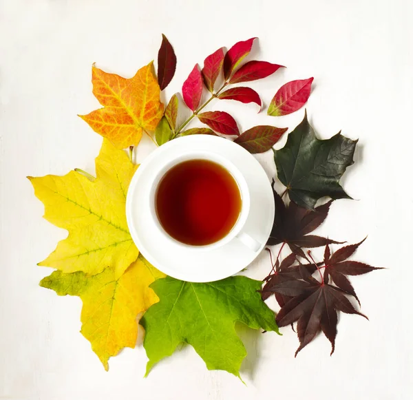 Taza de té y hojas coloridas de otoño — Foto de Stock