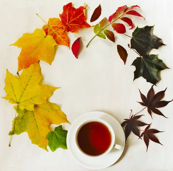 Kopje thee en herfst kleurrijke bladeren, bovenaanzicht — Stockfoto