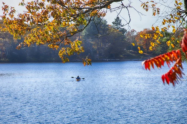 Jesień nad jeziorem Muskoka, Ontario, Kanada. Kajakarz Wiosłując Ca — Zdjęcie stockowe