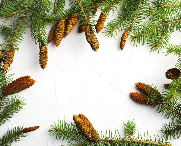 Jul bakgrund med gran grenar och kottar på wh — Stockfoto