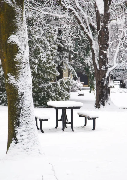 Table and bench under snow in park at winter time — Stock Photo, Image