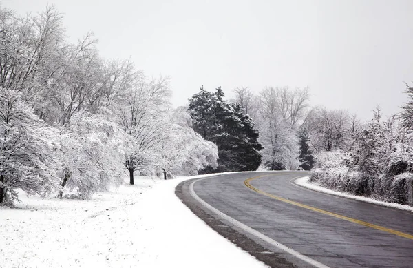Ormanın içinden geçen kış yolu — Stok fotoğraf