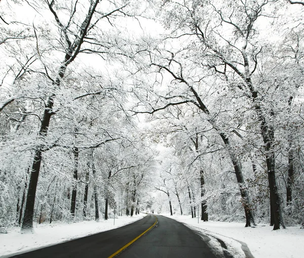 Camino de invierno en el día de la nieve, Ontario, Canadá — Foto de Stock