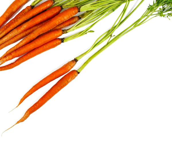 Carota fresca isolata su sfondo bianco, copiare spazio. Concetto alimentare — Foto Stock