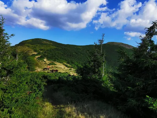 Zielone Góry Przeciwko Błękitnemu Niebu — Zdjęcie stockowe