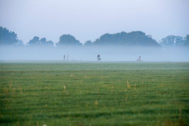 Çocuk kırsal yolda Bisiklete binme 