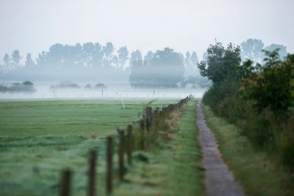 Pathway in misty rural landscape — Stock Photo, Image