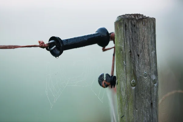 Cerca eléctrica en la niebla de la mañana — Foto de Stock