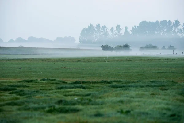 Sabah sis kırsal manzara üzerinde — Stok fotoğraf
