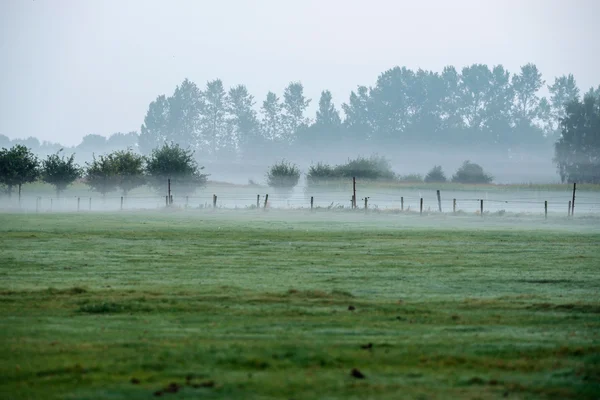 Clôture sur les terres agricoles dans la brume du matin — Photo