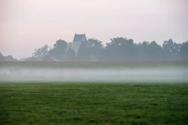 Starożytna wieża kościoła w rannej mgle — Zdjęcie stockowe