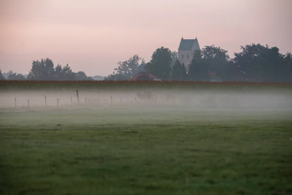 Stara wieża kościoła w porannej mgle — Zdjęcie stockowe