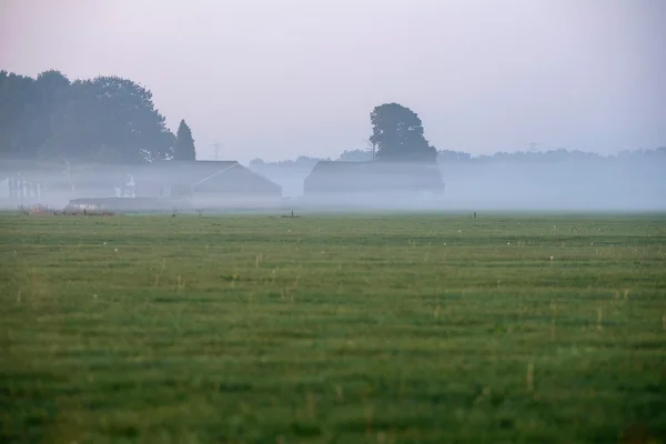 Meadow with farm in morning mist — Stock Photo, Image