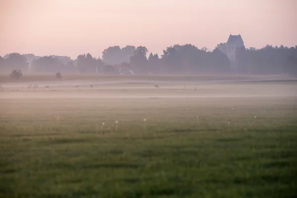 古い田舎のオランダ村 — ストック写真