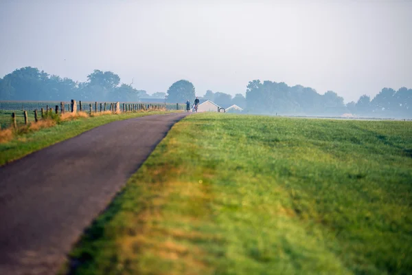 Vader en kinderen fietsen op landelijke weg — Stockfoto