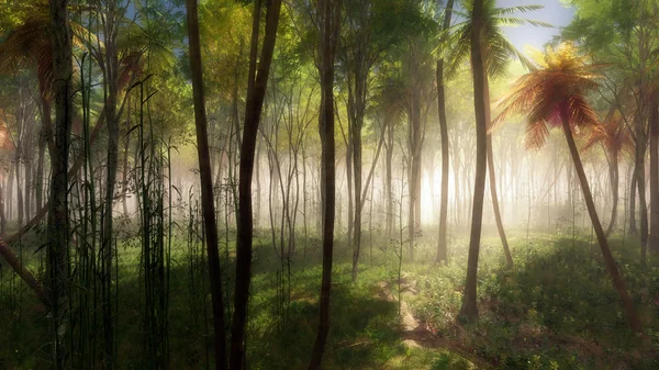 Palmiye ağaçları sis içinde — Stok fotoğraf