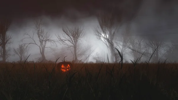 Halloween pumpkin in misty field — Stock Photo, Image