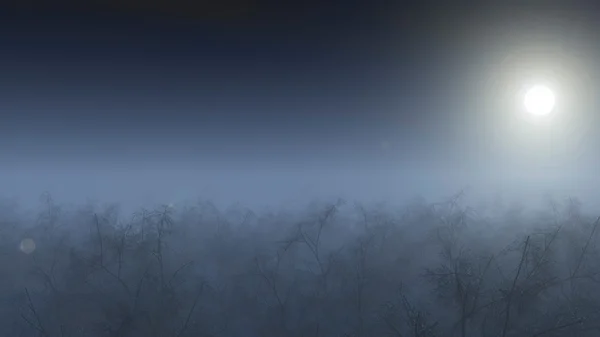 冬季森林在雾中 — 图库照片
