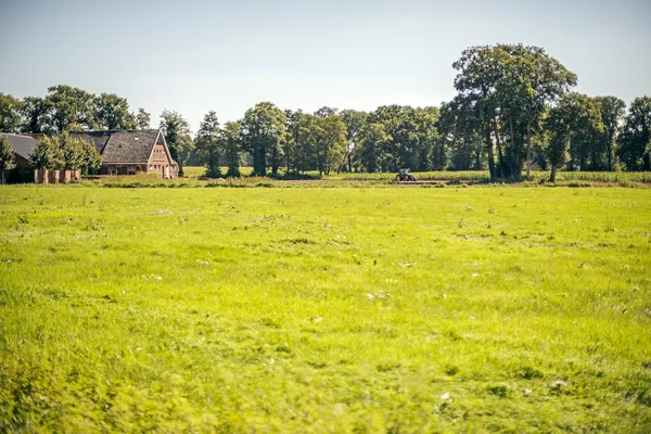 Paesaggio rurale olandese con fattoria — Foto Stock
