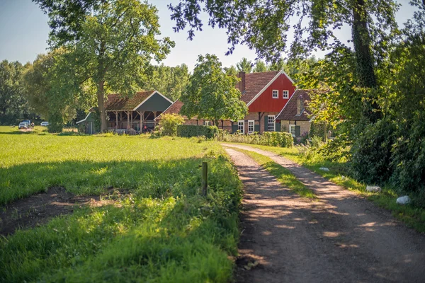 Landstraße zu alten holländischen Häusern — Stockfoto
