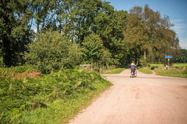 Turist pe bicicletă în picioare pe trecere — Fotografie, imagine de stoc