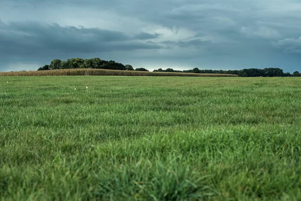 Wiejski krajobraz z Niwa — Zdjęcie stockowe