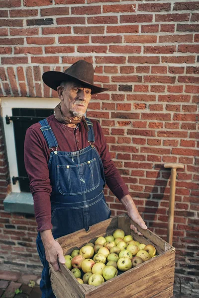 Boer leveren een krat met verse appels — Stockfoto
