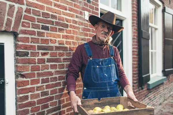 Фермер доставляє ящик зі свіжих яблук — стокове фото