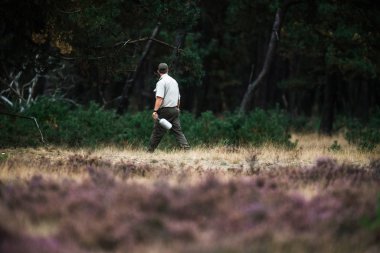 Kızıl geyik için gıda yaymak Forester 