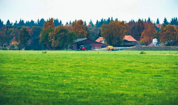 フィールドと森林を持つオランダの農場 — ストック写真