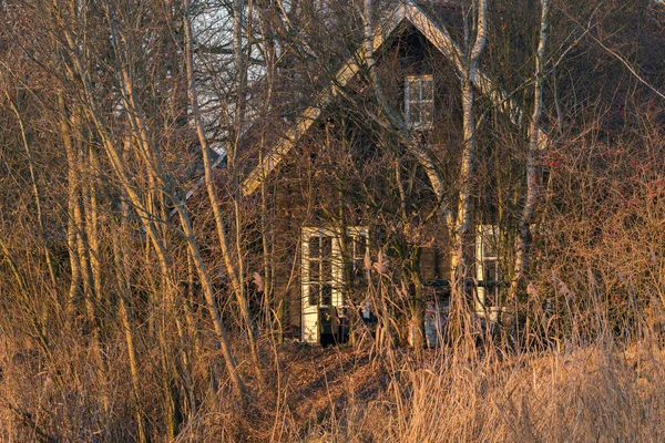Дом отдыха за деревьями — стоковое фото