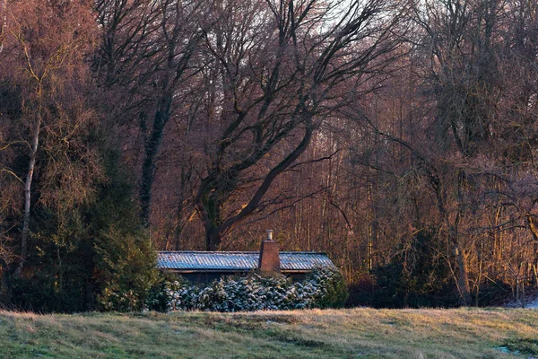 Cabine com telhado congelado na floresta — Fotografia de Stock