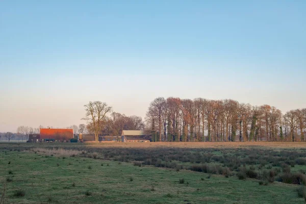 Fen com árvores de inverno e fazenda — Fotografia de Stock