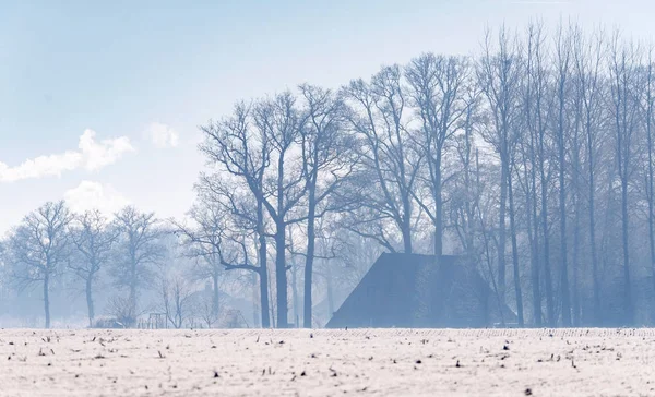 Nederlandse platteland landschap — Stockfoto