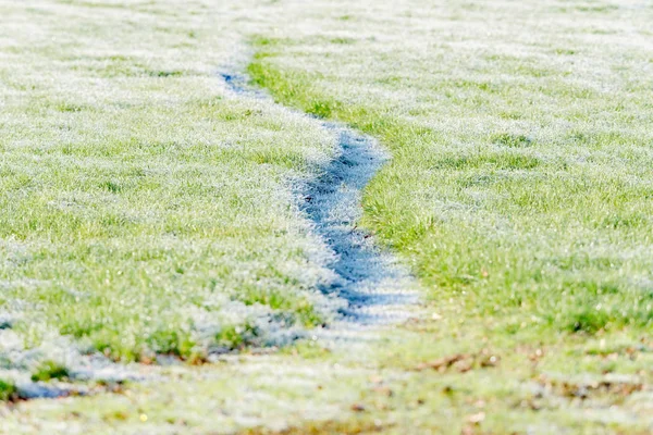 Track in frozen meadow — Stock Photo, Image