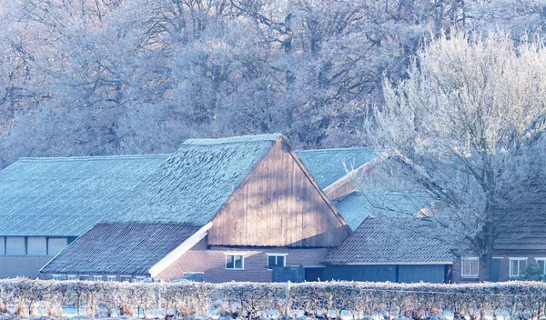 冬の木と馬小屋 — ストック写真
