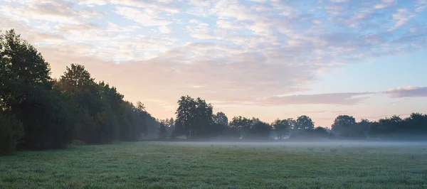 层在寒冷的早晨草地上的薄雾 — 图库照片