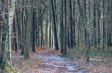 Karlı yürüme yolu 