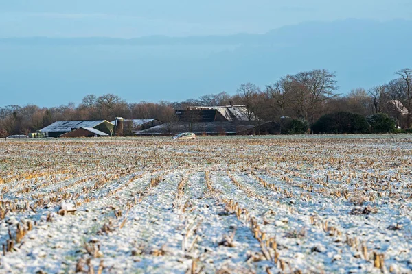 Замороженные сельскохозяйственные угодья в сельской местности . — стоковое фото