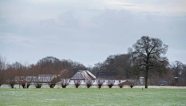 Paesaggio invernale rurale olandese — Foto Stock