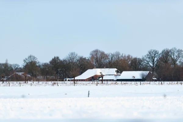 Holandská zemědělská půda s farmou — Stock fotografie