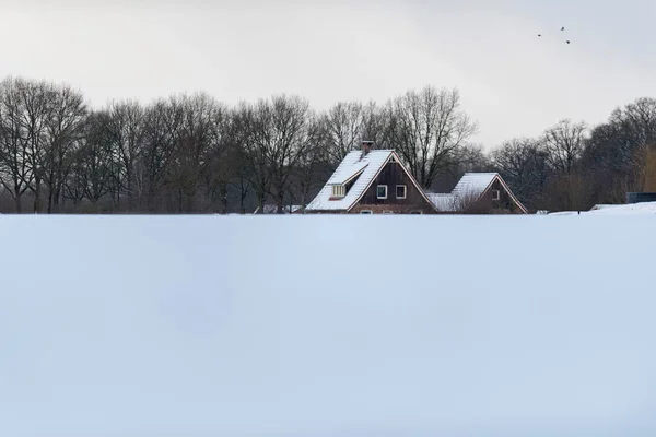 Hus täckt av snö — Stockfoto