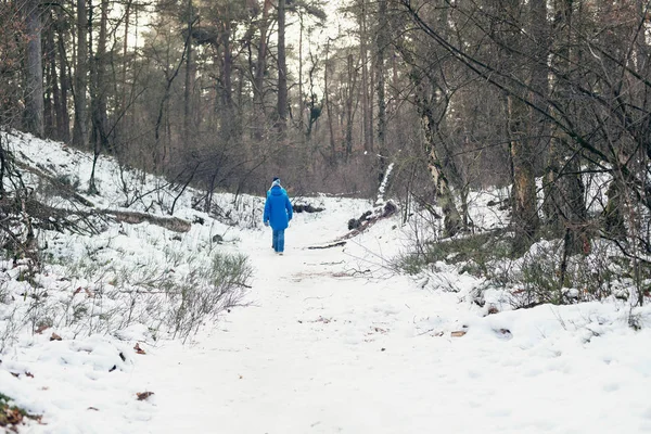 Vrouw wandelen in winter woud — Stockfoto